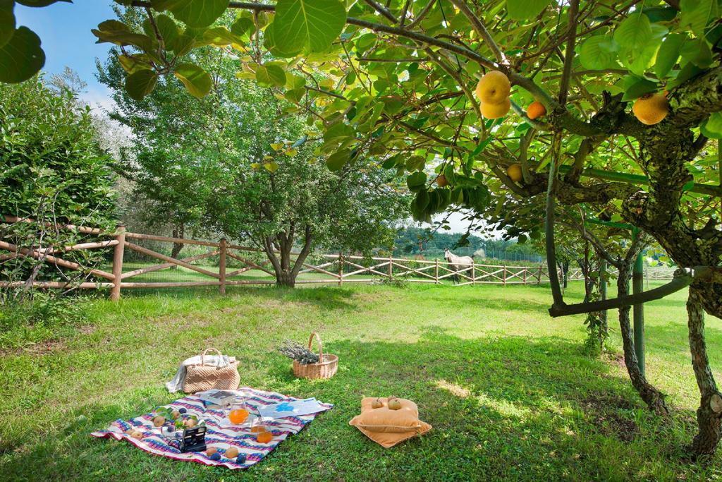 Olea Dei Holiday Apartments San Felice del Benaco Exterior foto